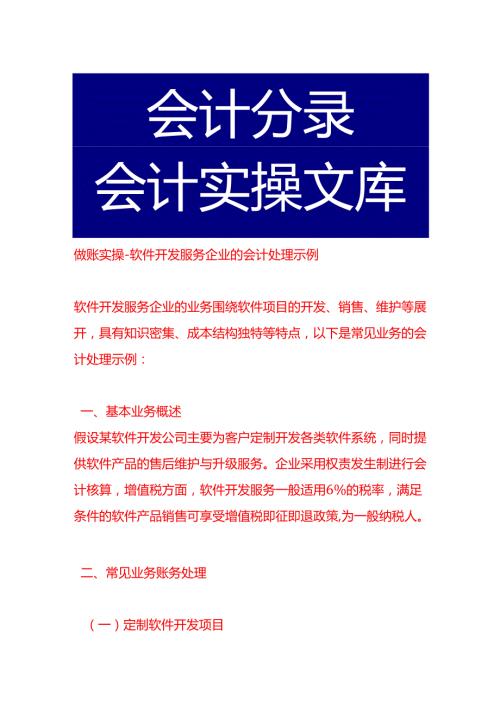做账实操软件开发服务企业的会计处理示例.docx