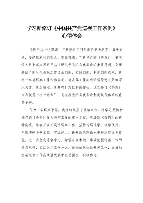 2024新修订中国共产党巡视工作条例》心得体会精品范文10篇.docx