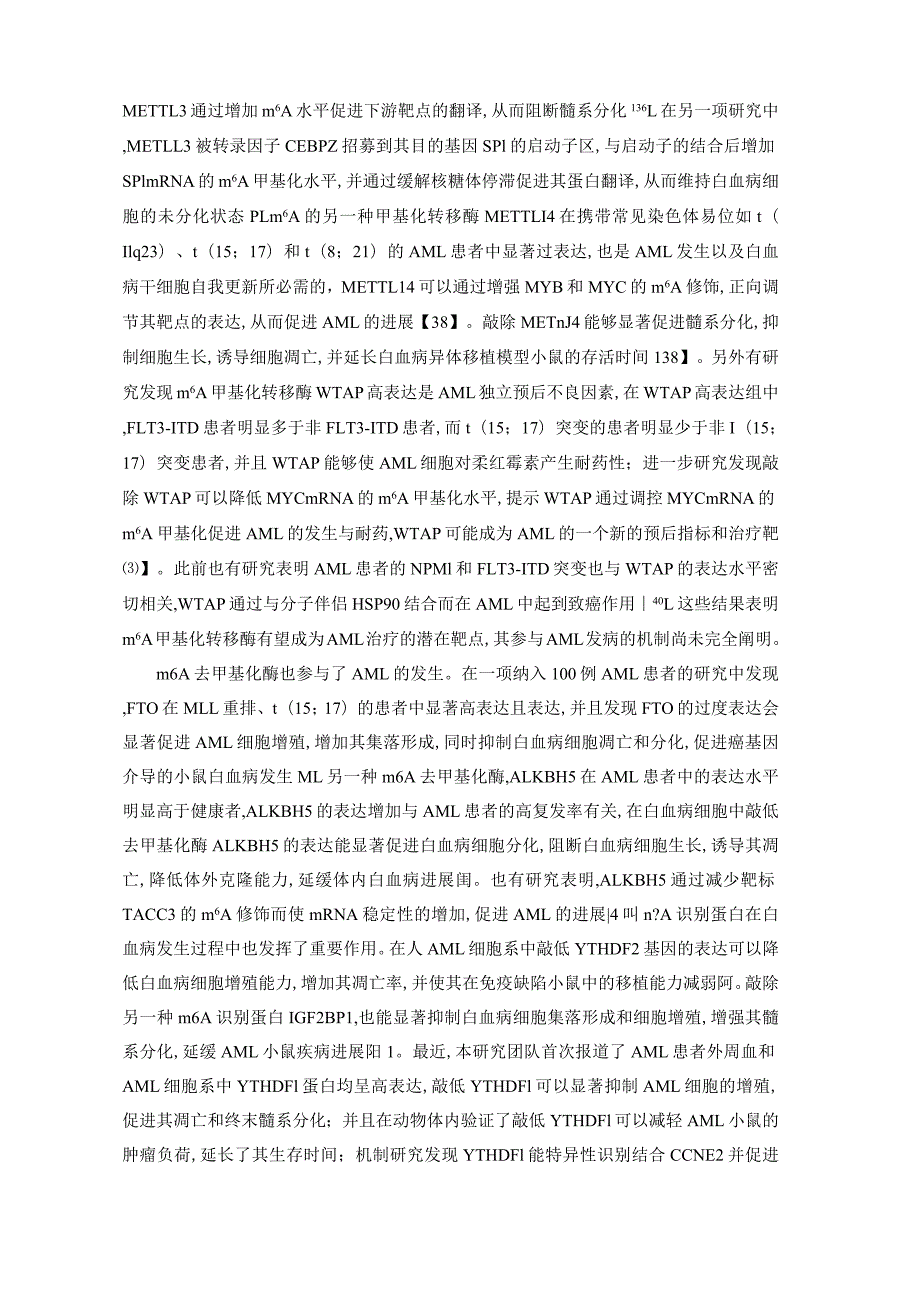 m6A甲基化修饰在急性髓系白血病中的研究进展.docx_第3页