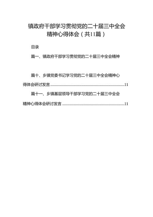 （11篇）镇政府干部学习贯彻党的二十三中全会精神心得体会集合.docx