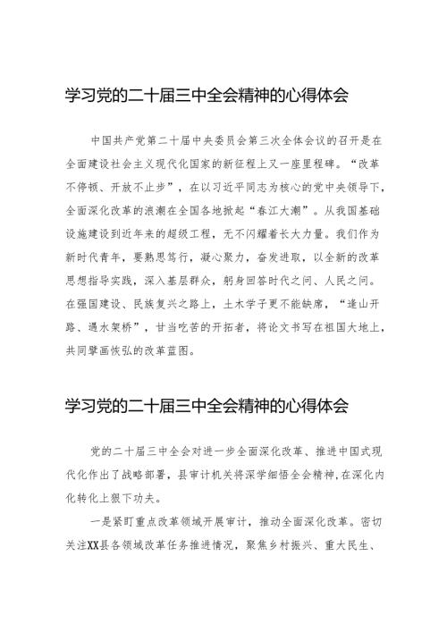 党员学习党的二十三中全会精神的心得感悟简短发言材料36篇.docx