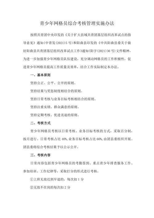 青少年网格员综合考核管理实施办法.docx