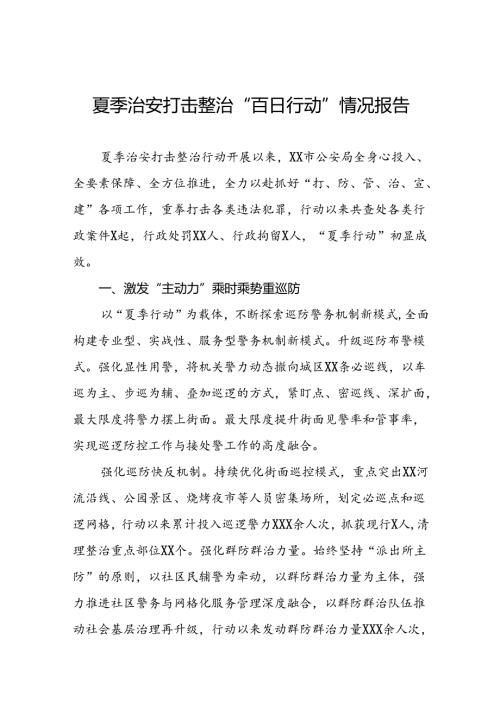 十二篇2024年公安推动夏季治安打击整治行动的情况报告.docx