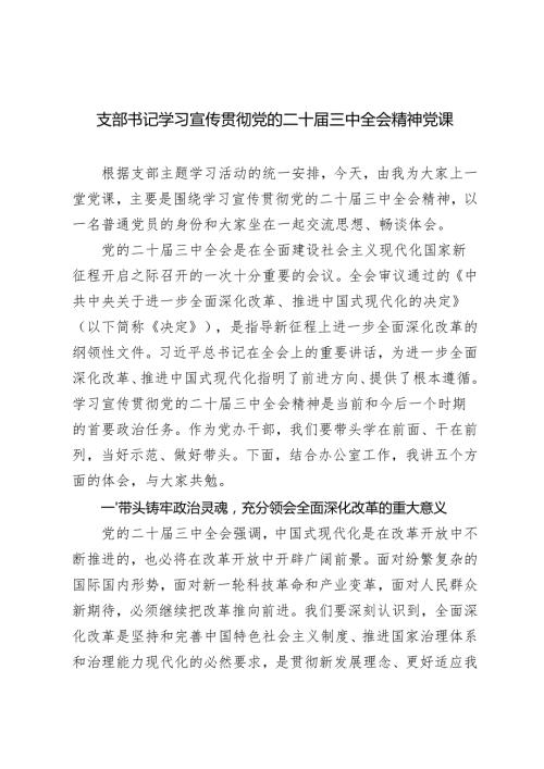 20242025支部书记学习宣传贯彻党的二十三中全会精神党课讲稿.docx