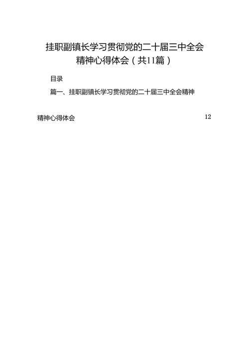 （11篇）挂职副镇长学习贯彻党的二十三中全会精神心得体会范文.docx