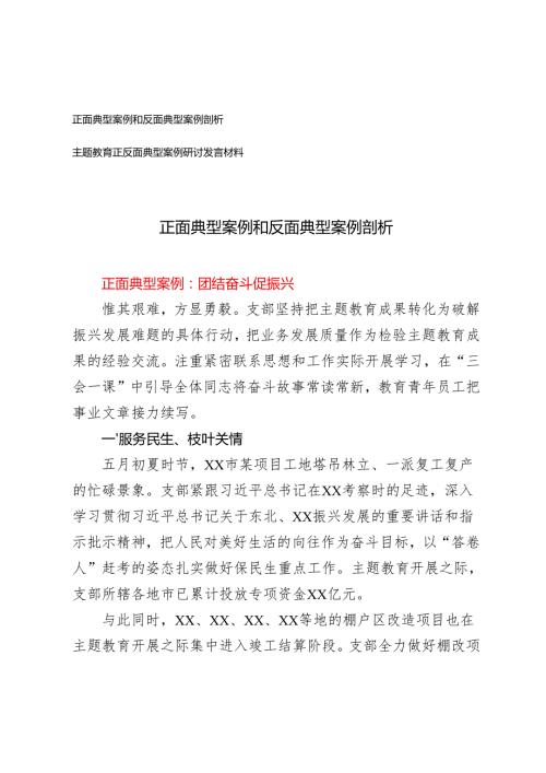 20242025年正面典型案例和反面典型案例剖析+主题教育正反面典型案例研讨发言材料.docx