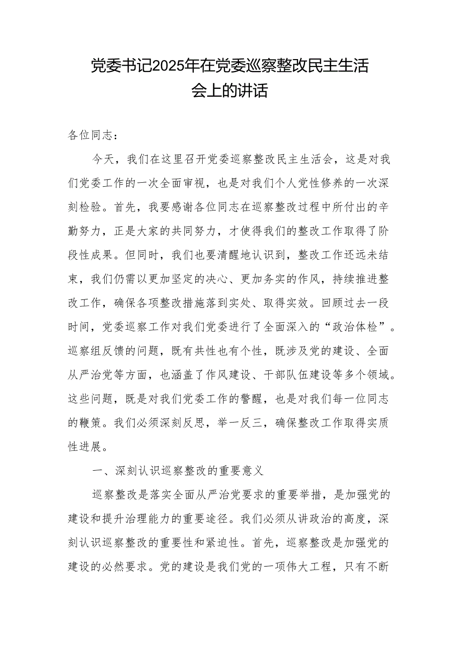 党委书记2025年在党委巡察整改民主生活会上的讲话和党委书记落实巡察整改情况报告.docx_第2页