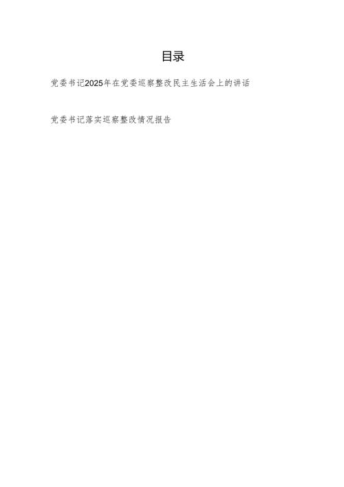 党委书记2025年在党委巡察整改民主生活会上的讲话和党委书记落实巡察整改情况报告.docx