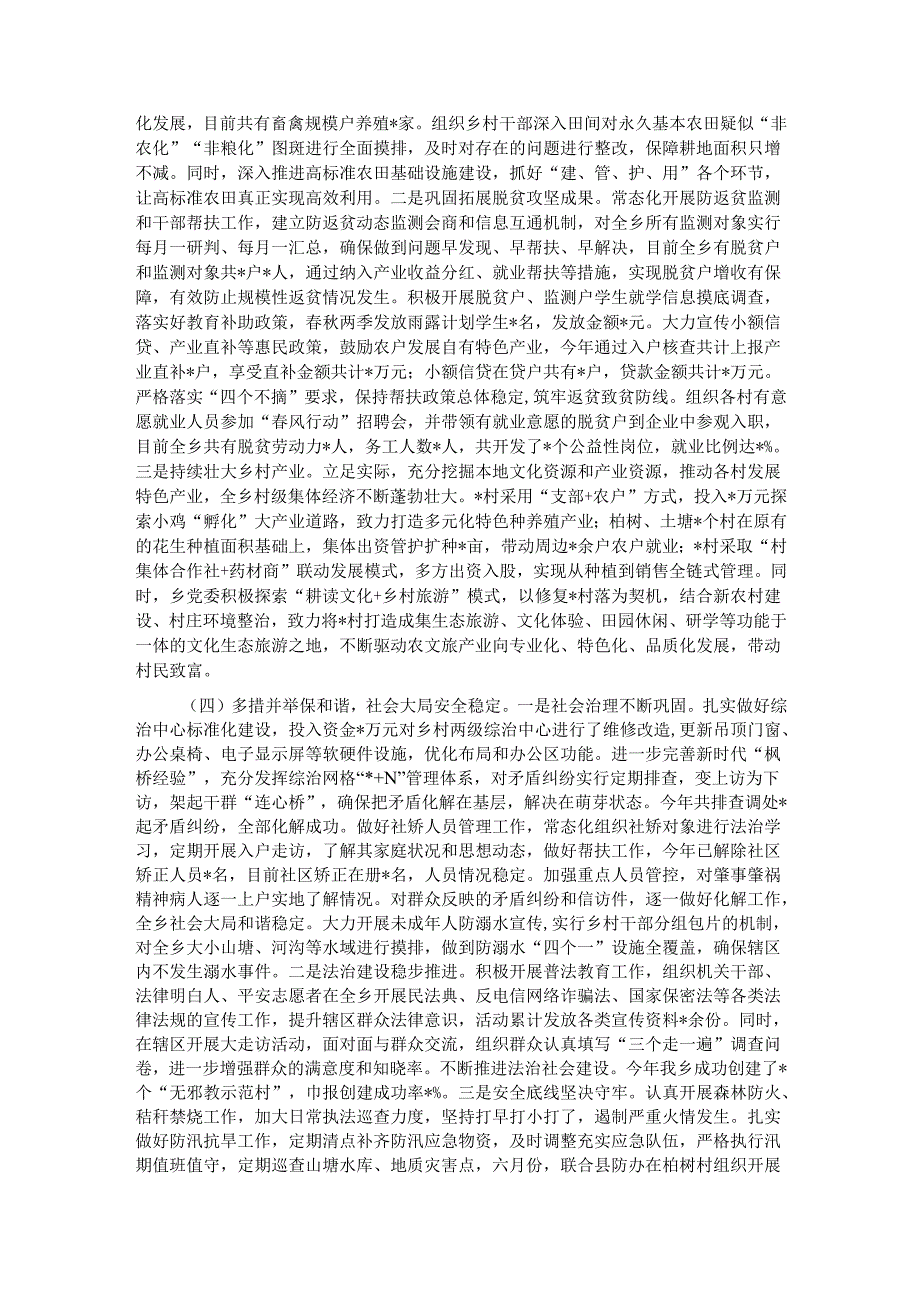 乡镇2024工作总结.docx_第2页