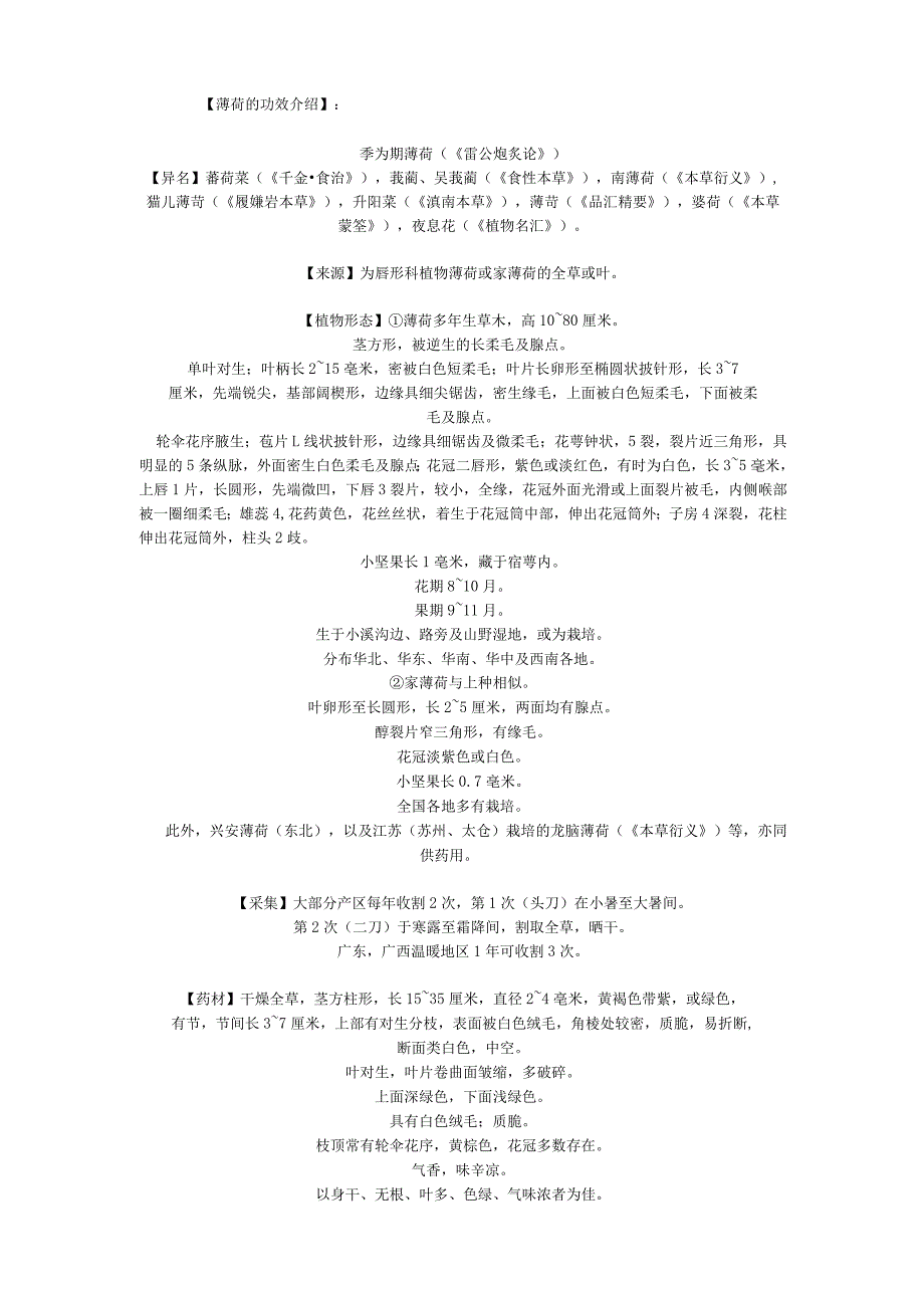 薄荷的功效介绍.docx_第1页