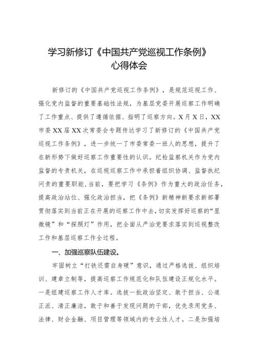 六篇学习新修订《中国共产党巡视工作条例》心得体会交流发言.docx