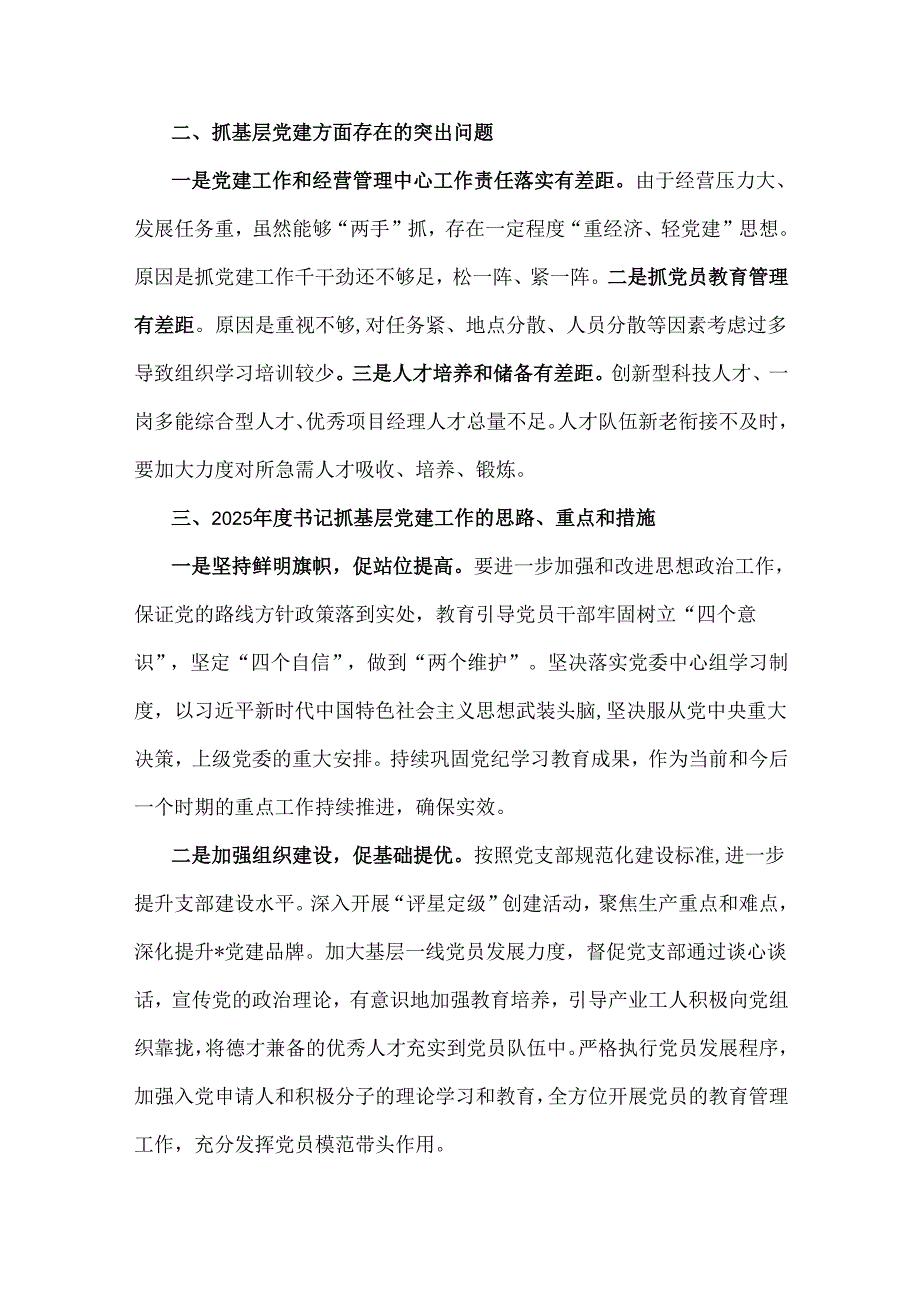 2024年【两篇】书记狠抓基层党建工作述职报告范文.docx_第3页