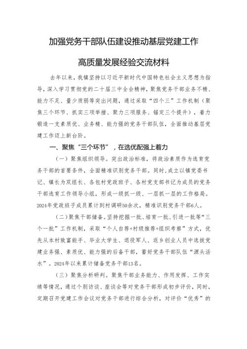 加强党务干部队伍建设推动基层党建工作高质量发展经验交流材料.docx