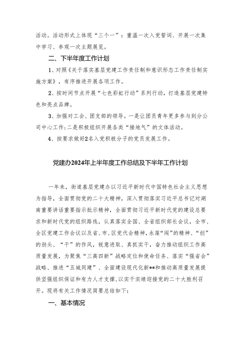 2024年党建工作上半年总结及下半年计划(10篇合集).docx_第3页