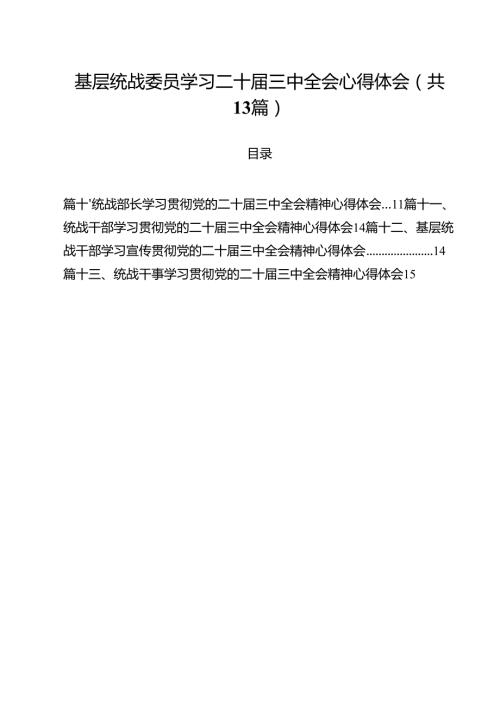 （13篇）基层统战委员学习二十三中全会心得体会（详细版）.docx