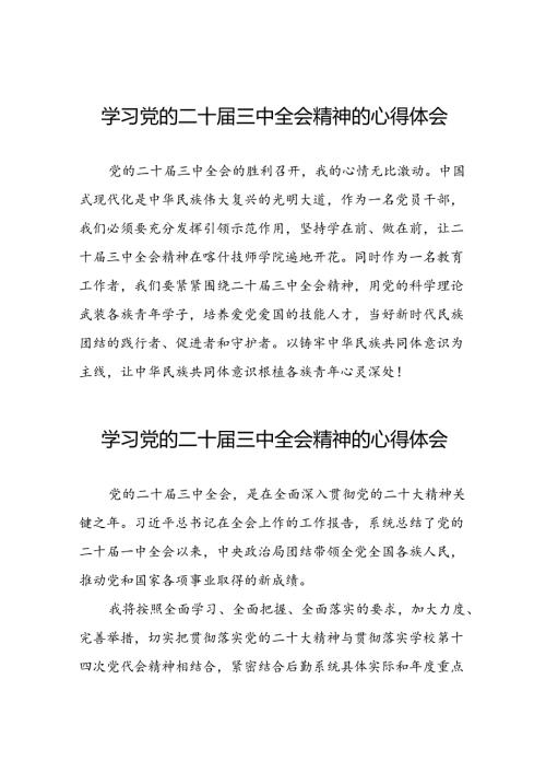 学习党的二十三中全会的心得体会简短发言十四篇.docx
