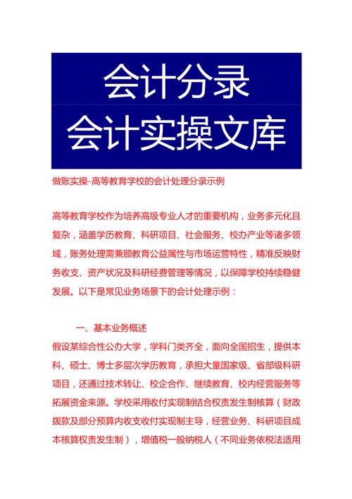 做账实操高等教育学校的会计处理分录示例.docx