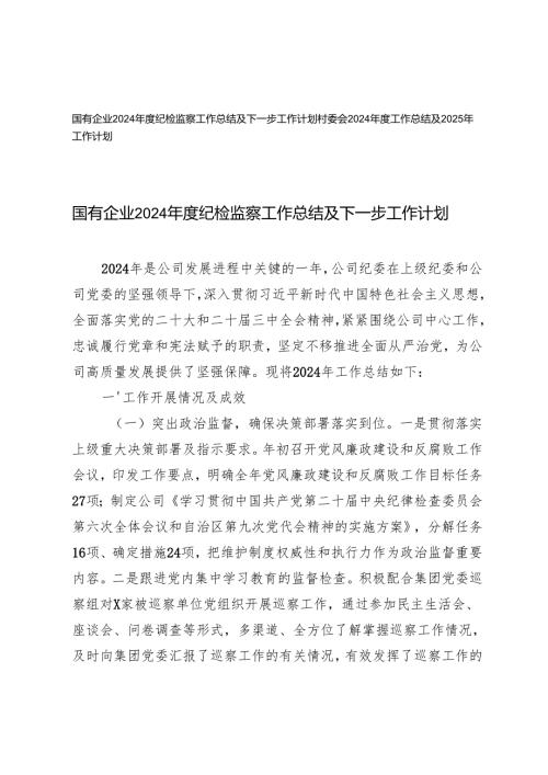 村委会、国有企业2024纪检监察工作总结及下一步工作计划.docx