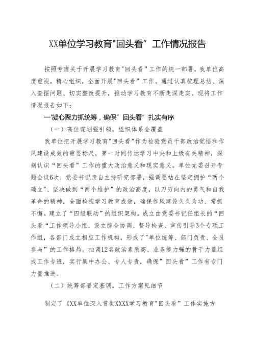 党支部2025年”回头看”自查情况报告精选资料.docx