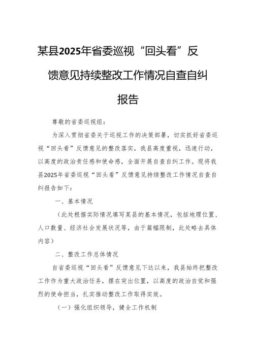 某县2025年省委巡视“回头看”反馈意见持续整改工作情况自查自纠报告.docx