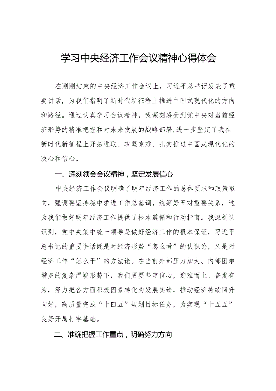 九篇2024年中央经济工作会议精神学习心得体会.docx_第1页