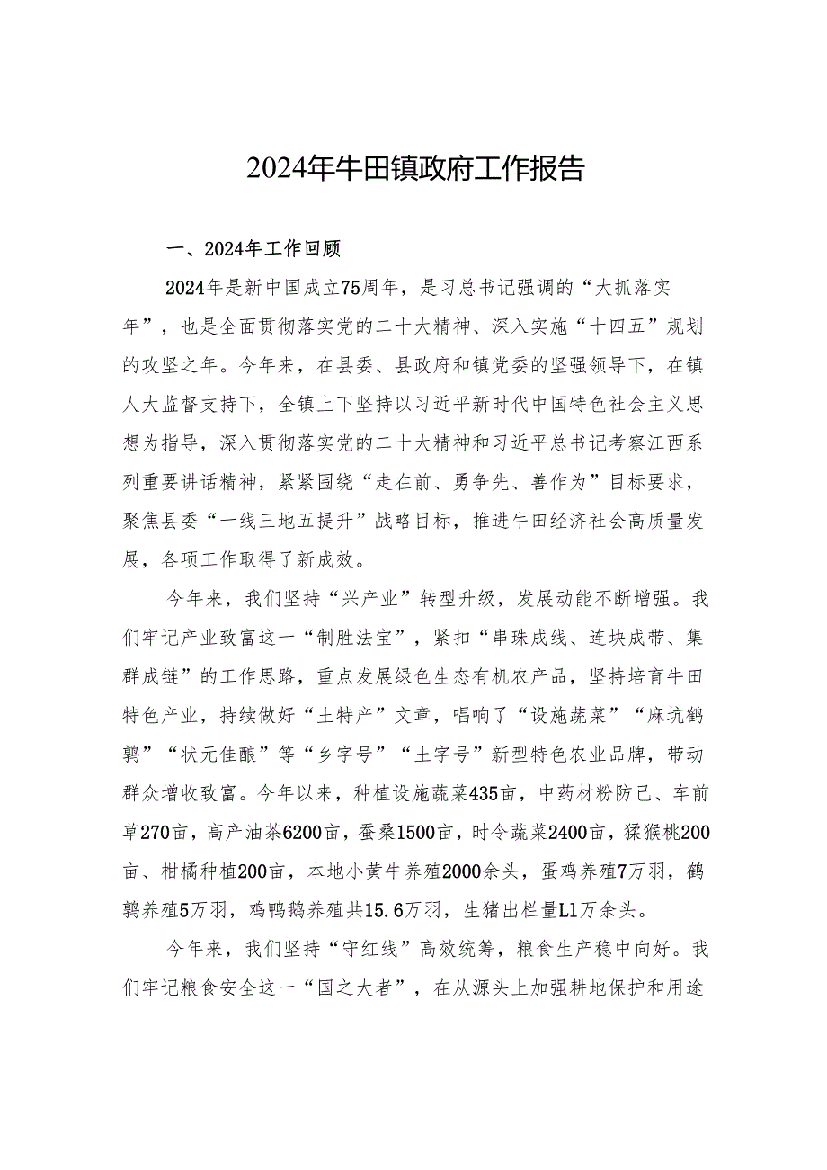 2024年牛田镇政府工作报告.docx_第1页