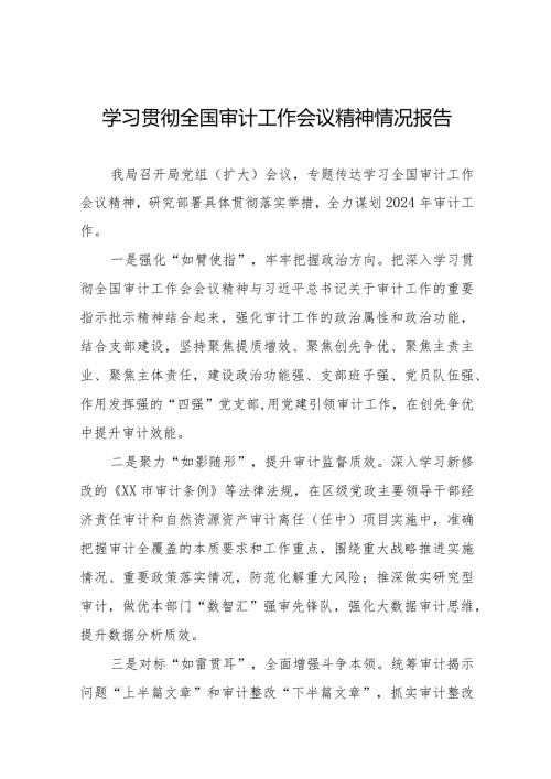 2024全国审计工作会议精神贯彻落实情况汇报十五篇.docx