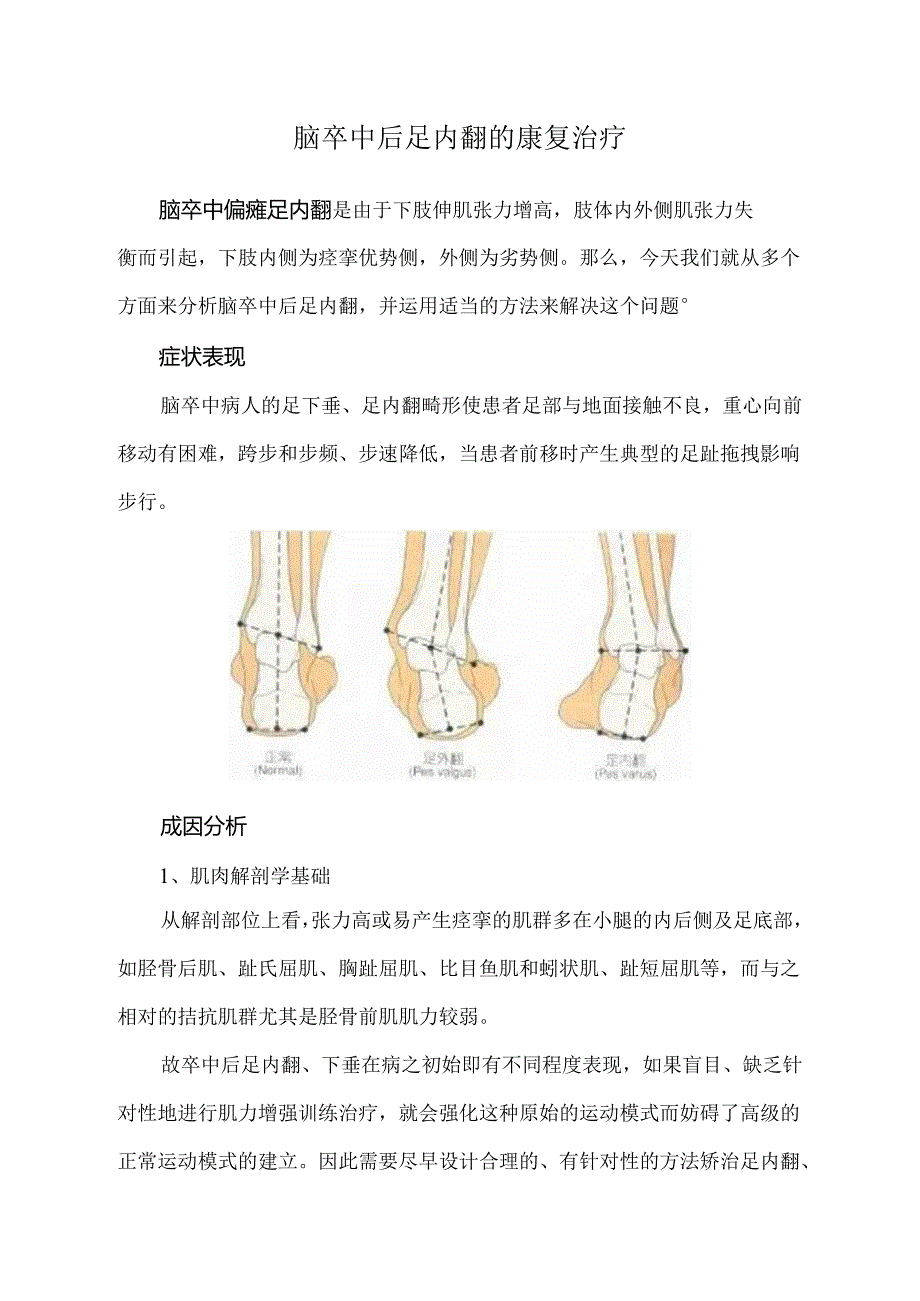 脑卒中后足内翻的康复治疗.docx_第1页