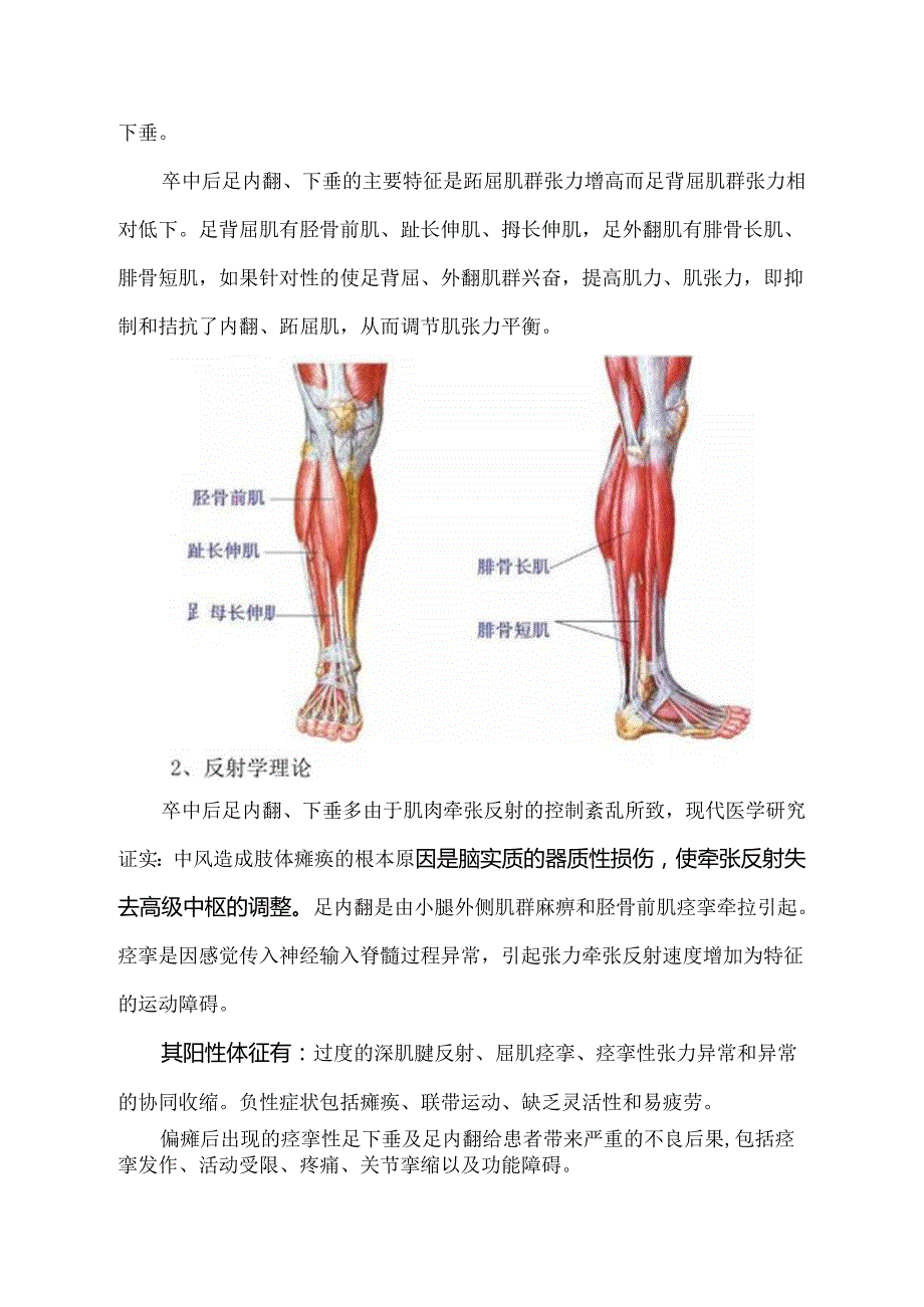 脑卒中后足内翻的康复治疗.docx_第2页