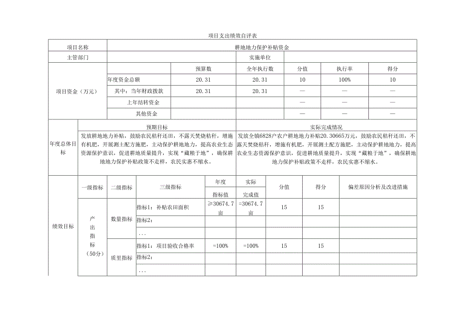 耕地地力保护补贴资金项目支出绩效自评表.docx_第1页