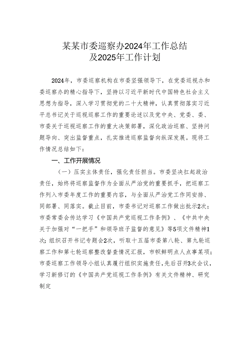 某某市委巡察办2024年工作总结及2025年工作计划.docx_第1页