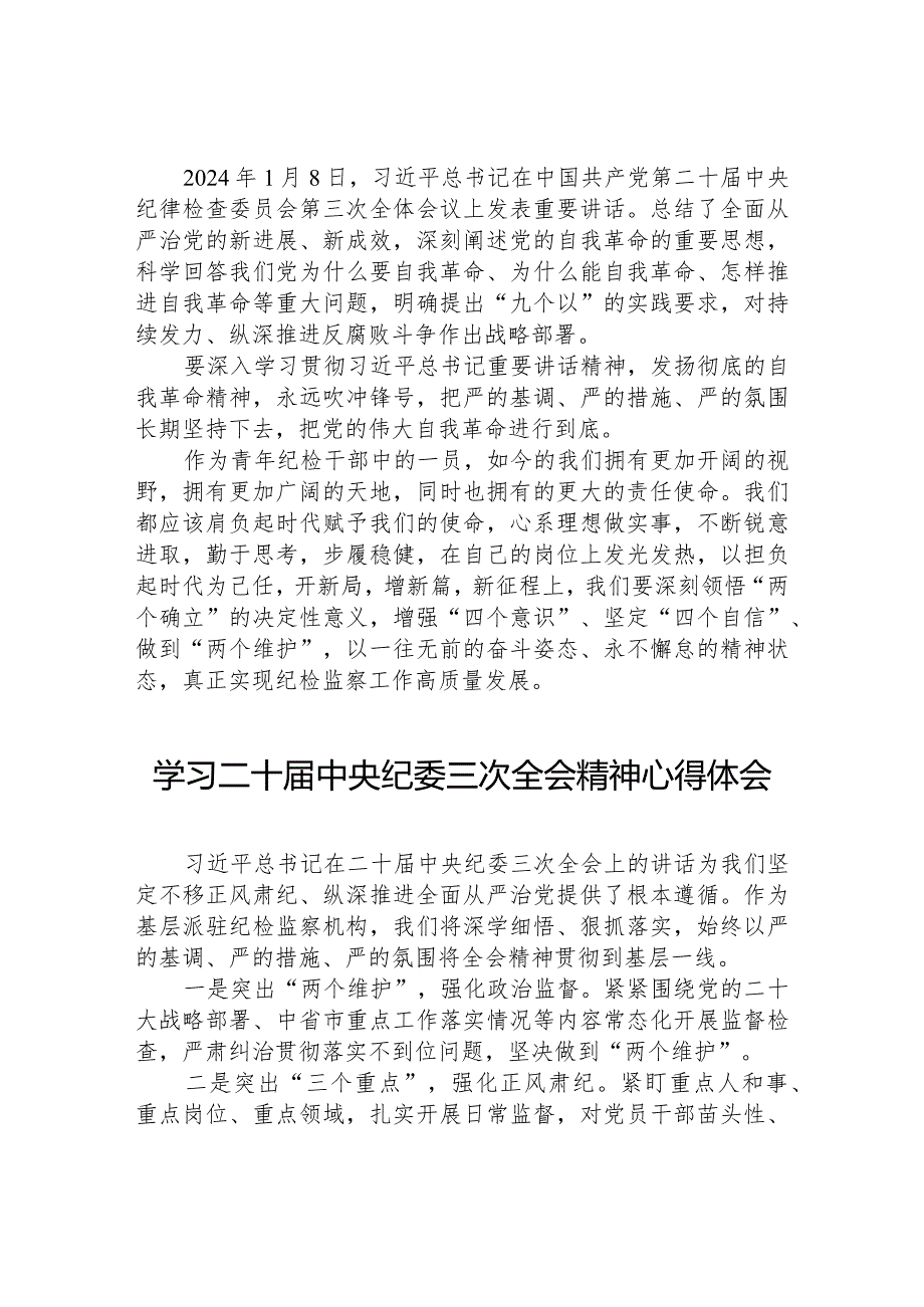 二十中央纪委三次全会心得体会十九篇.docx_第2页