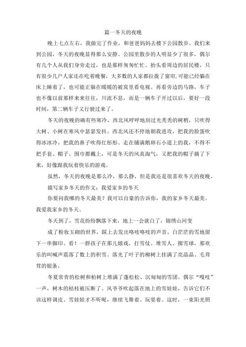 描写冬天的范文作文3篇.docx
