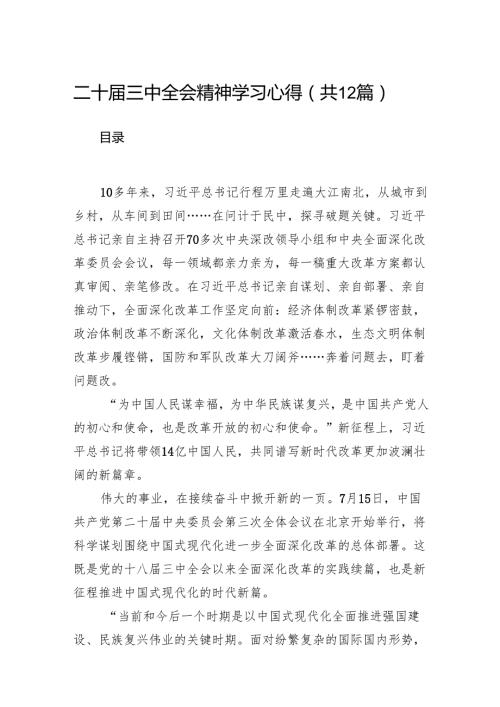 二十三中全会精神学习心得12篇（精选）.docx