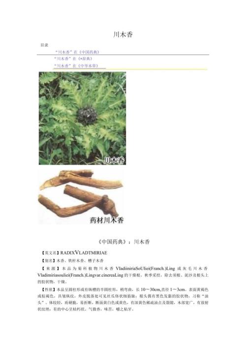 《中国药典》川木香.docx