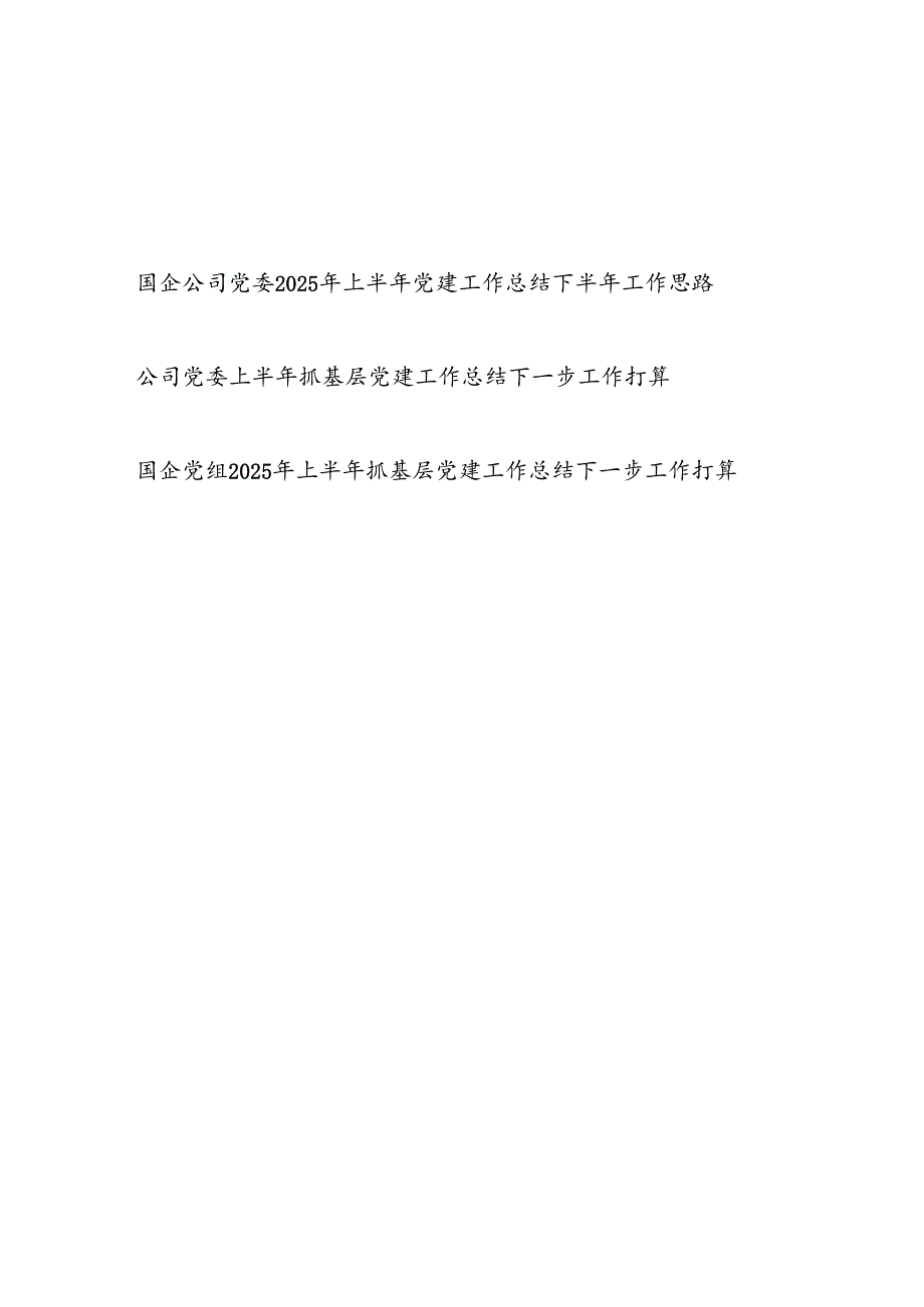 国企公司党委2025年上半年党建工作总结下半年工作思路.docx_第1页
