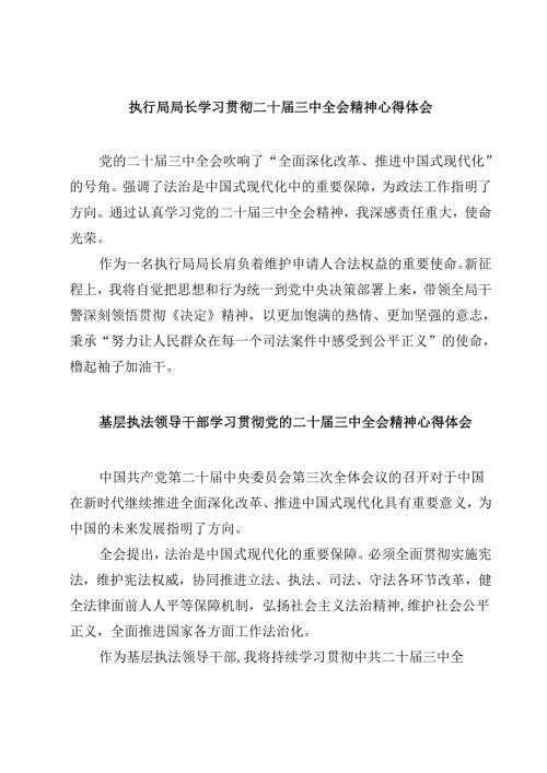 (四篇)执行局局长学习贯彻二十三中全会精神心得体会（详细版）.docx