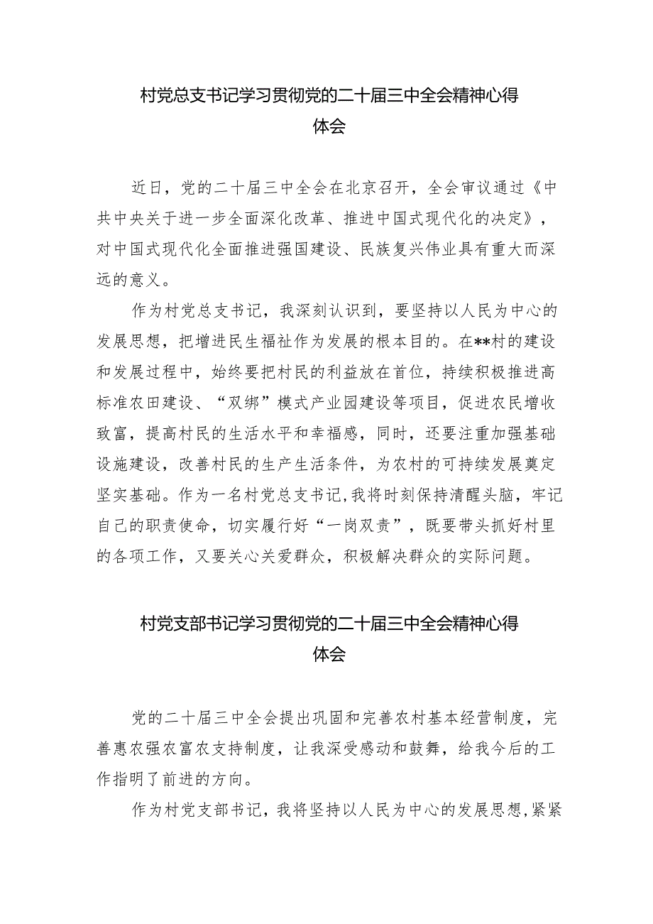 （9篇）村书记学习贯彻党的二十三中全会精神心得体会（精选）.docx_第3页