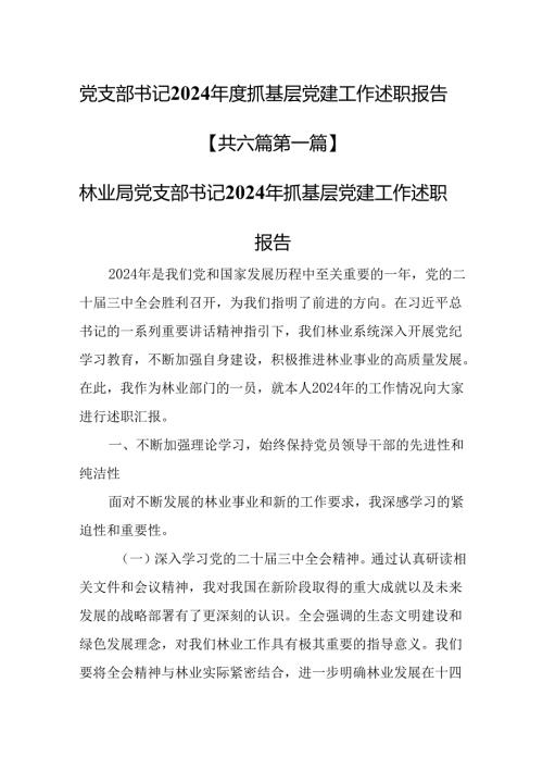 （6篇）党支部书记2024抓基层党建工作述职报告.docx