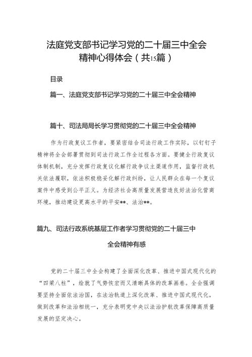 （15篇）法庭党支部书记学习党的二十三中全会精神心得体会范文.docx