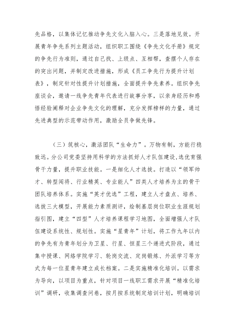 国企公司2024年人才工作总结.docx_第3页
