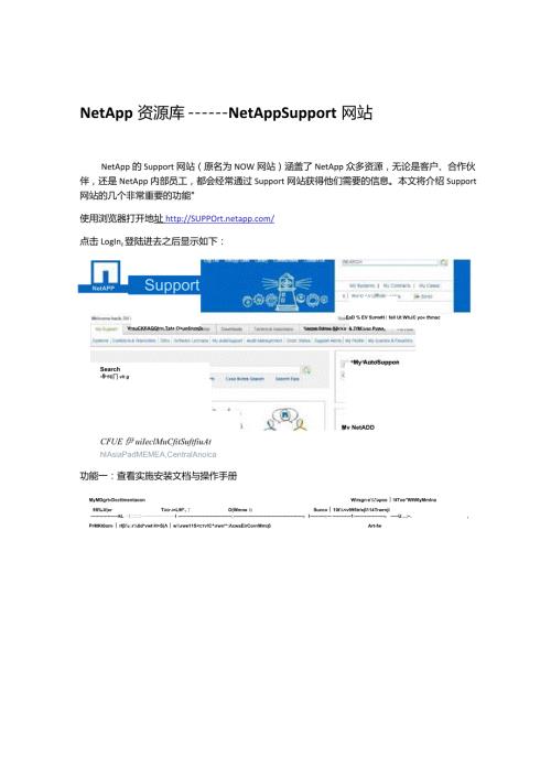 NetApp Support网站.docx