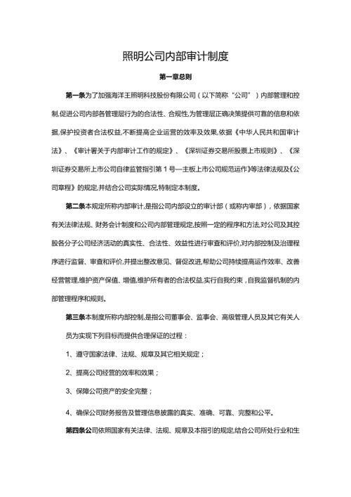 照明公司内部审计制度.docx