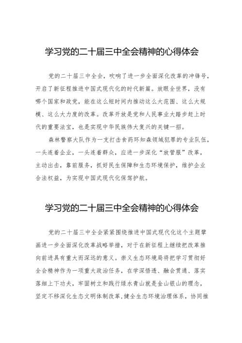党员干部学习贯彻党的二十三中全会精神心得感悟合集36篇.docx
