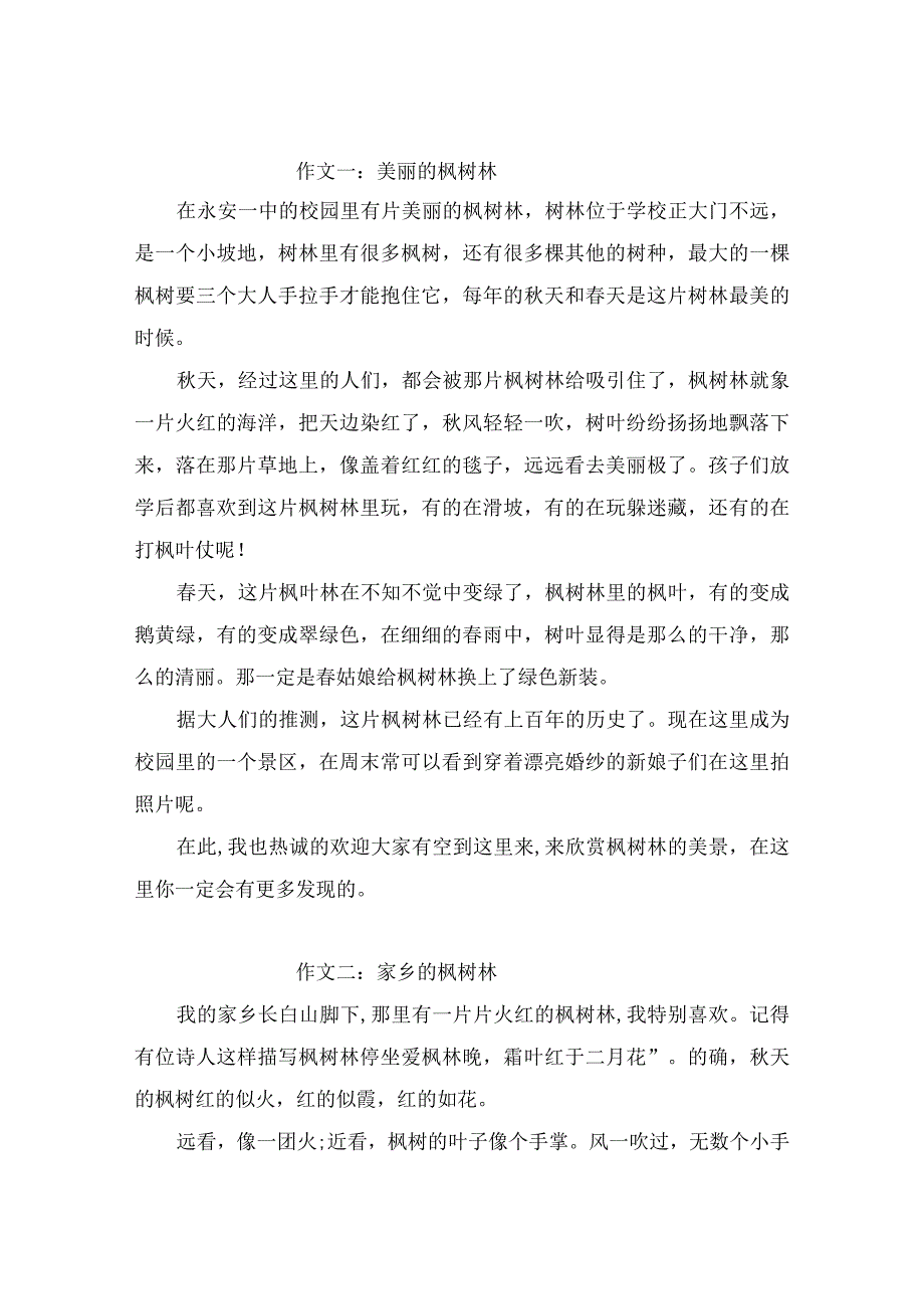描写枫树林的作文400字4篇.docx_第1页