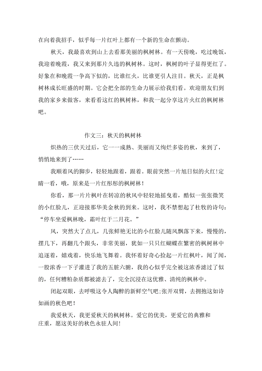 描写枫树林的作文400字4篇.docx_第2页