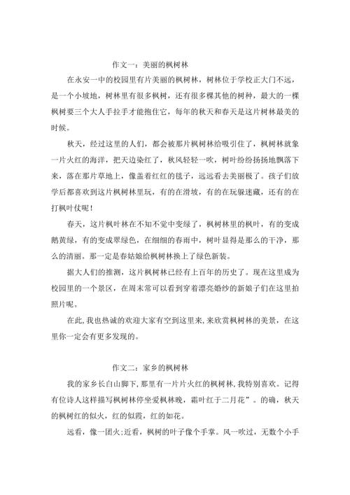 描写枫树林的作文400字4篇.docx