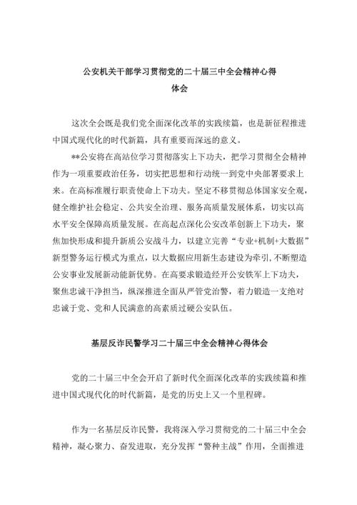 （11篇）公安机关干部学习贯彻党的二十三中全会精神心得体会集锦.docx
