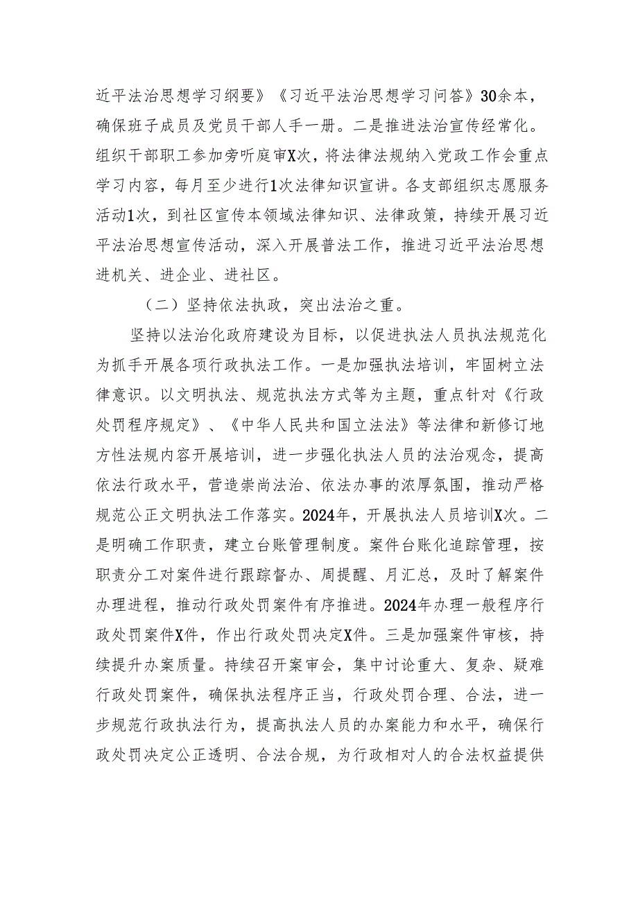 2024X局法治政府建设工作总结及2025年工作计划.docx_第2页