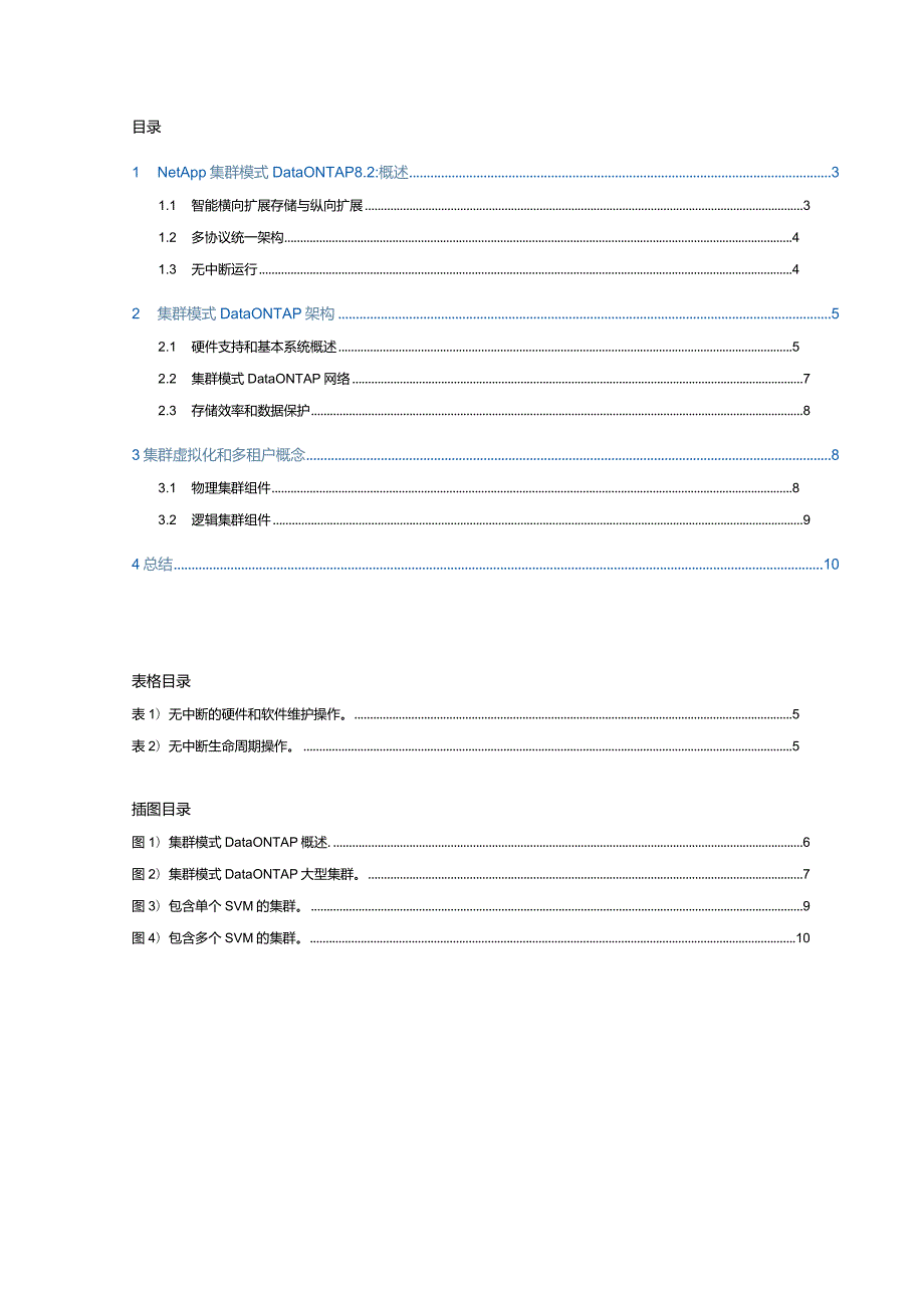 NetApp 技术报告NetApp 集群模式 Data ONTAP 8.2简介.docx_第2页